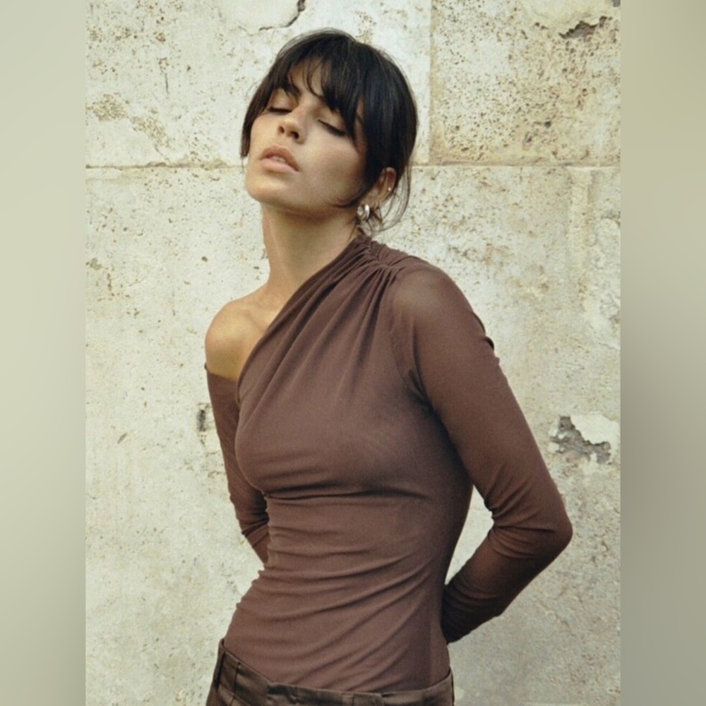 ZARA Chic Brown Off-Shoulder Top